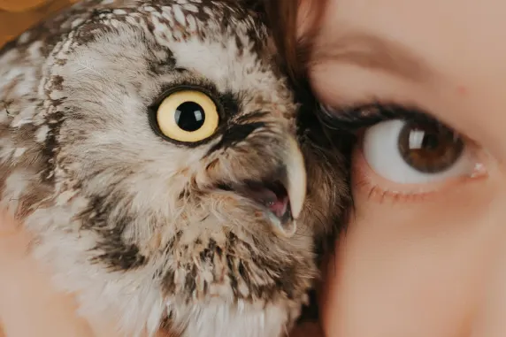 カジノ パレス オブ チャンス サポート